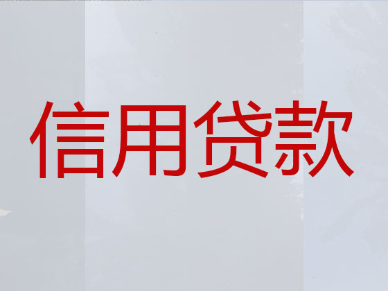 资阳信用贷款中介公司